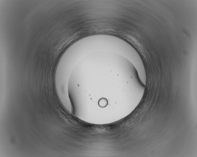 X0000112880405200910021357