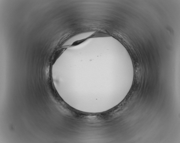 X0000112880406200910021357