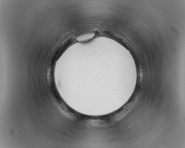 X0000112880408200910021357