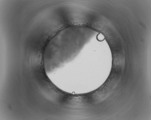 X0000112880411200910021357