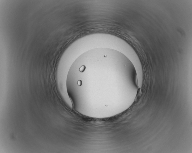 X0000112880419200910021357