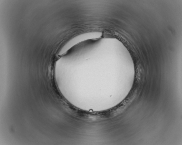 X0000112880420200910021357