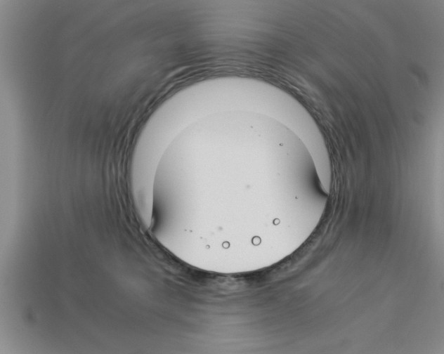 X0000112880421200910021357