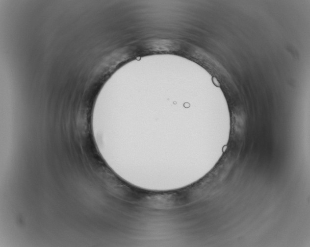 X0000112880422200910021357