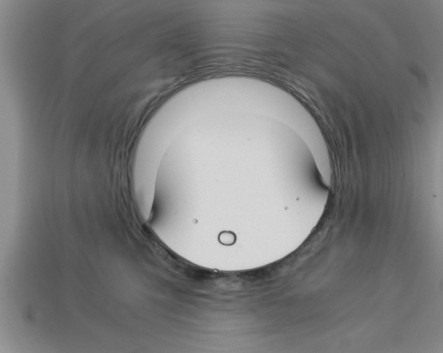 X0000112880423200910021357