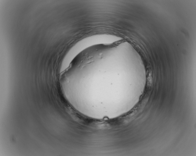 X0000112880424200910021357