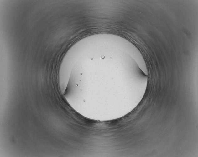 X0000112880425200910021357