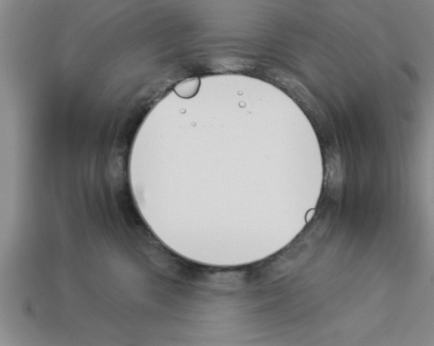 X0000112880426200910021357