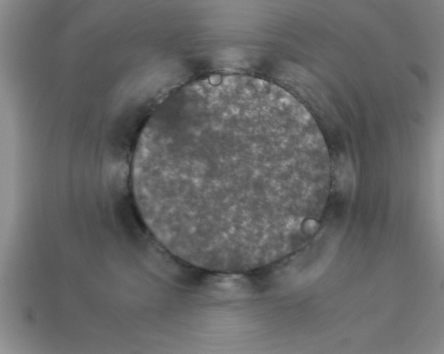 X0000112880427200910021357