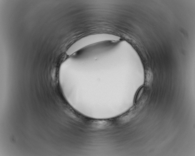 X0000112880428200910021357