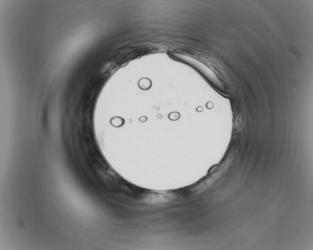 X0000112880429200910021357