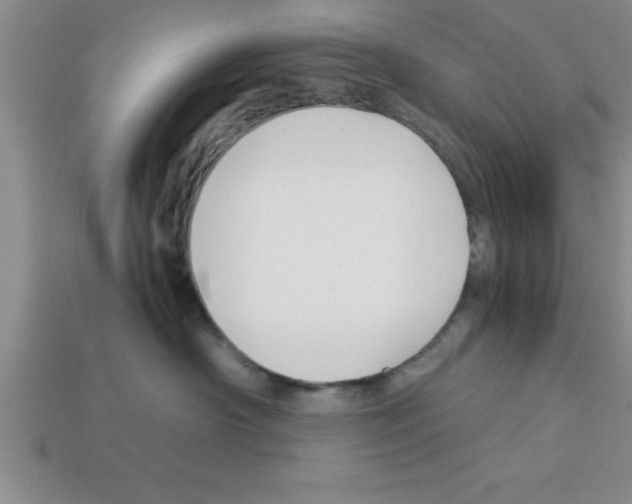 X0000112880430200910021357