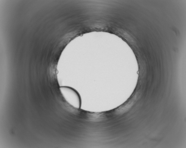 X0000112880432200910021357