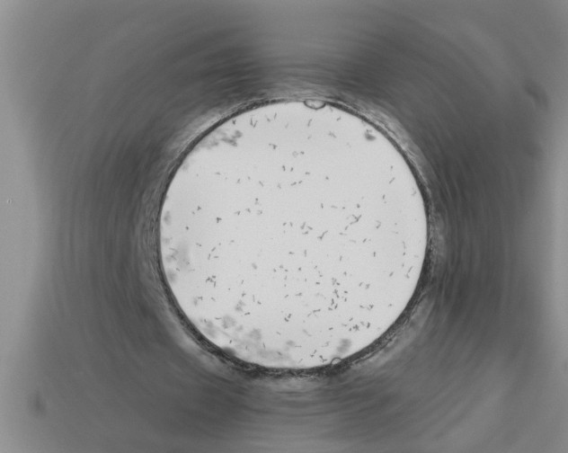 X0000112880433200910021356