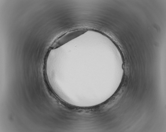 X0000112880434200910021356