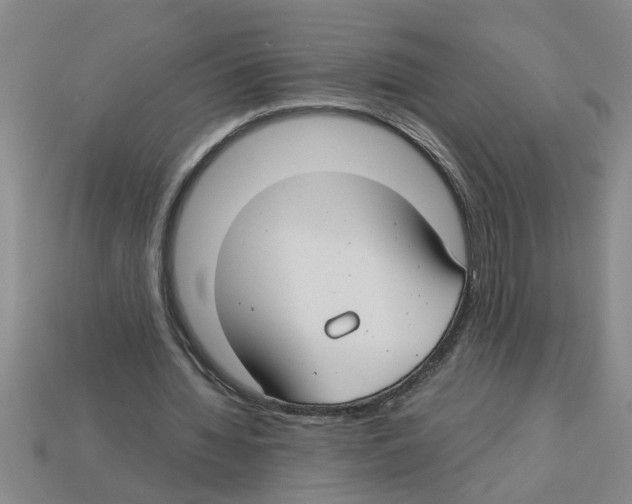 X0000112880436200910021356