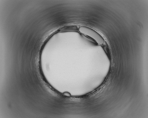 X0000112880437200910021356