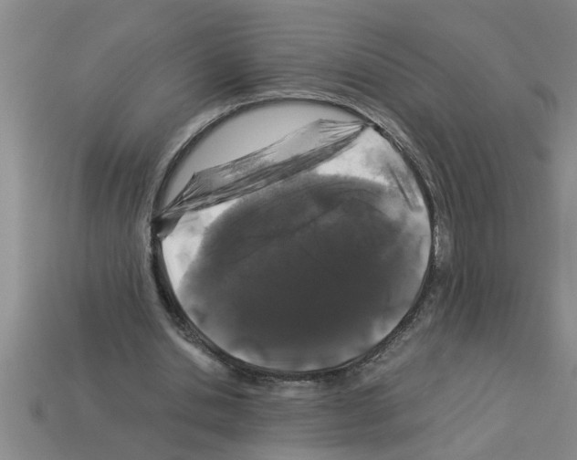 X0000112880438200910021356