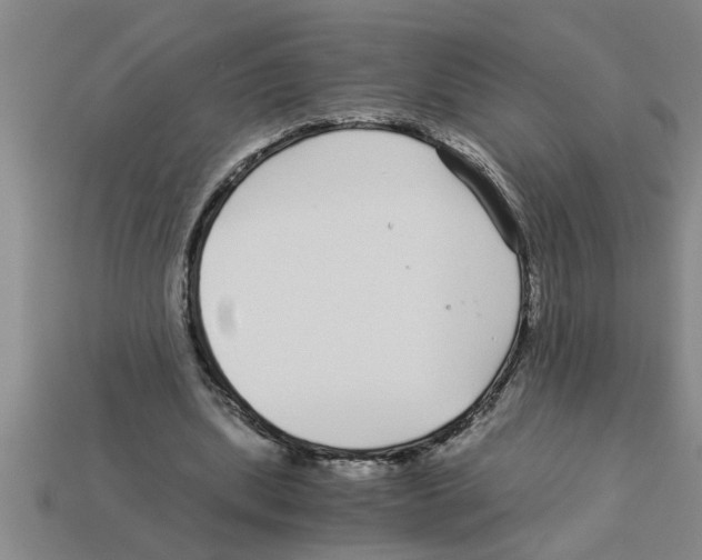 X0000112880439200910021356