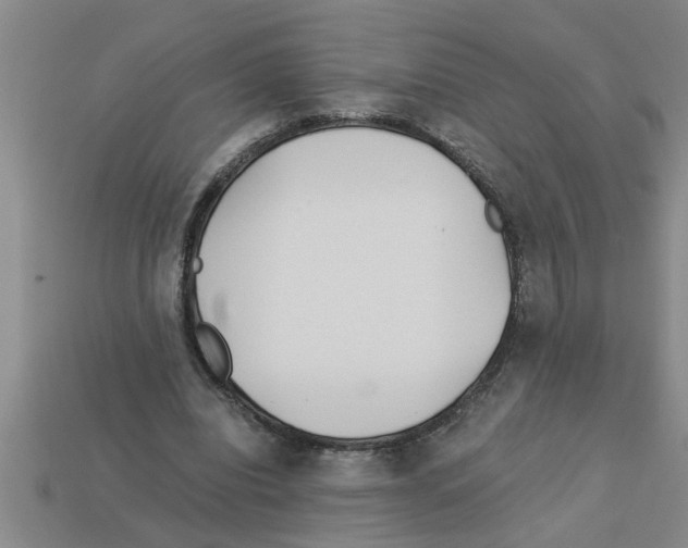 X0000112880440200910021356