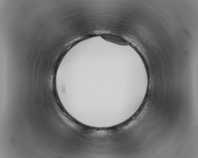 X0000112880441200910021356