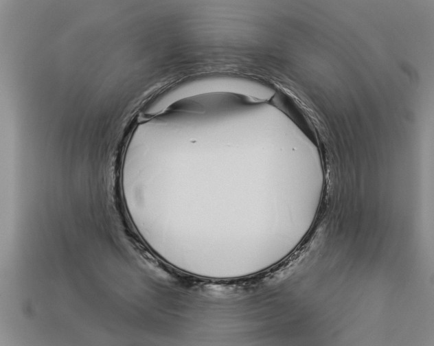 X0000112880442200910021356