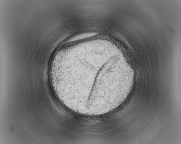 X0000112880443200910021356