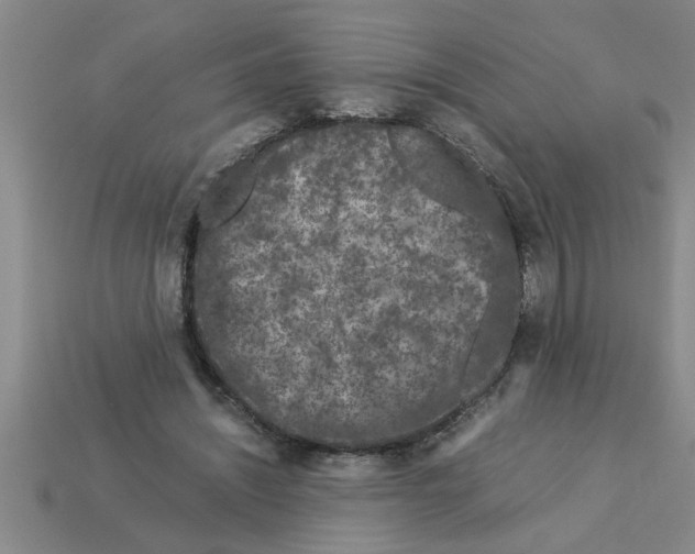 X0000112880444200910021356