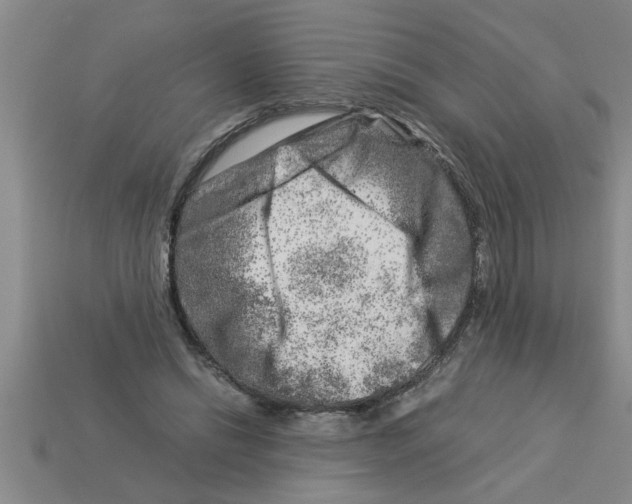 X0000112880446200910021356