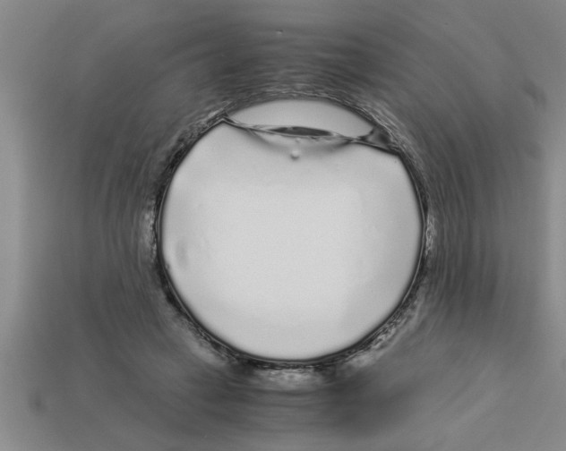 X0000112880449200910021356