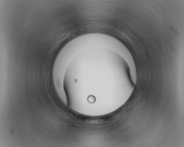 X0000112880452200910021356