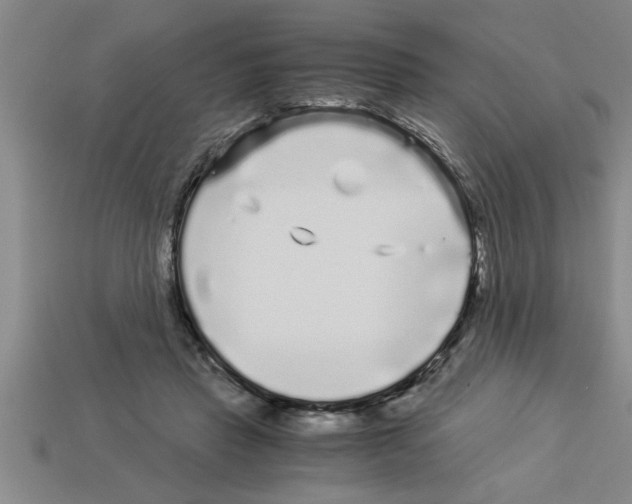 X0000112880453200910021356