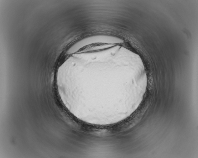 X0000112880454200910021356