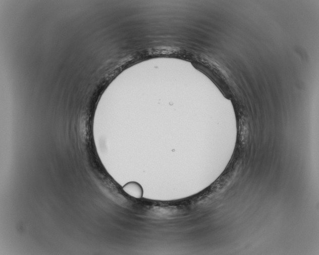 X0000112880455200910021356