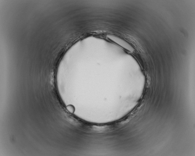 X0000112880457200910021356