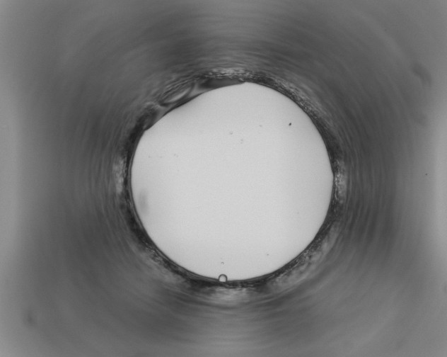 X0000112880458200910021356