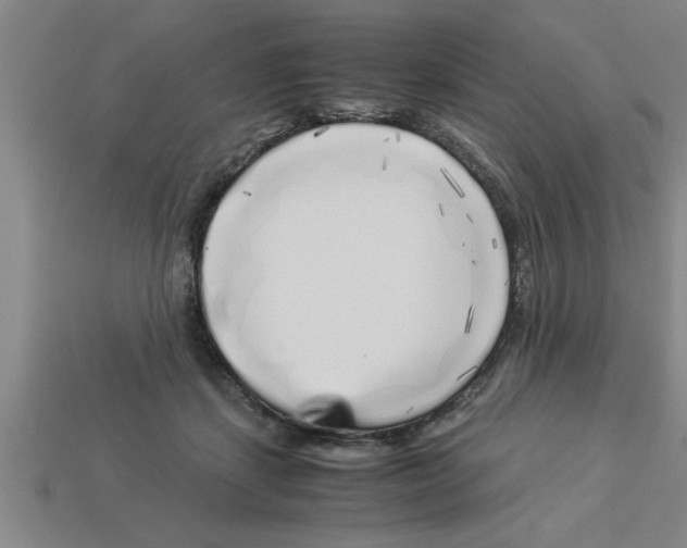 X0000112880459200910021356