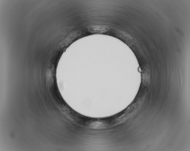 X0000112880460200910021356