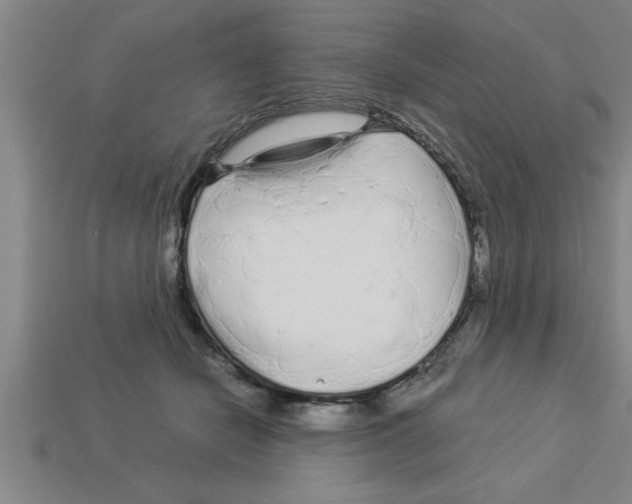 X0000112880462200910021356