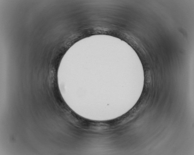 X0000112880463200910021356