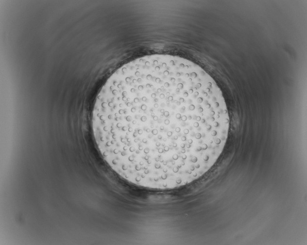 X0000112880470200910021356