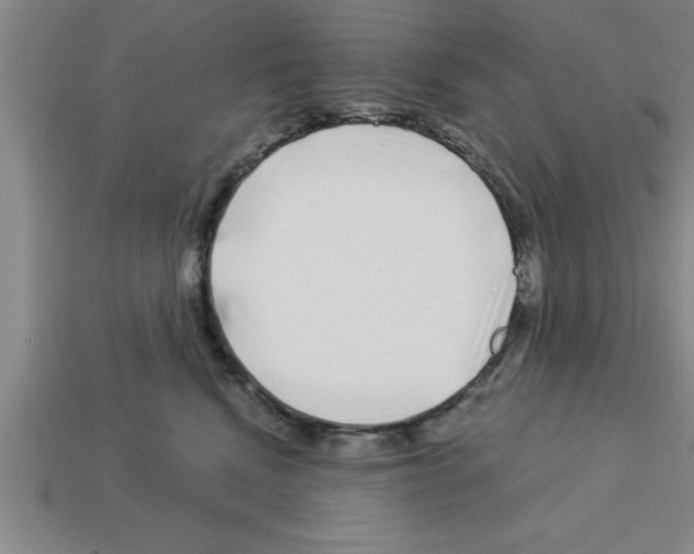 X0000112880472200910021357