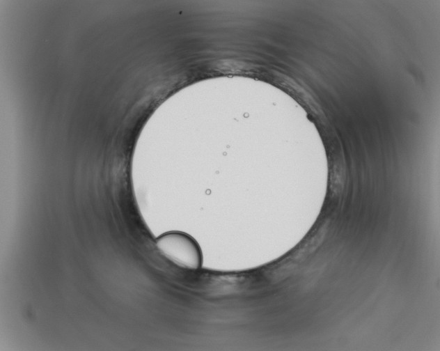 X0000112880473200910021357