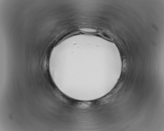 X0000112880474200910021357