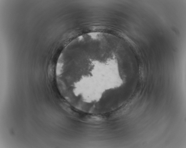 X0000112880475200910021357