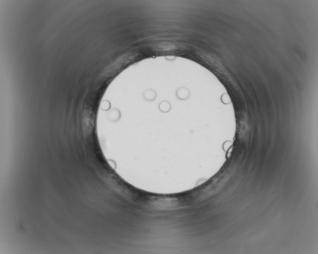 X0000112880476200910021357