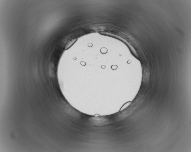 X0000112880477200910021357