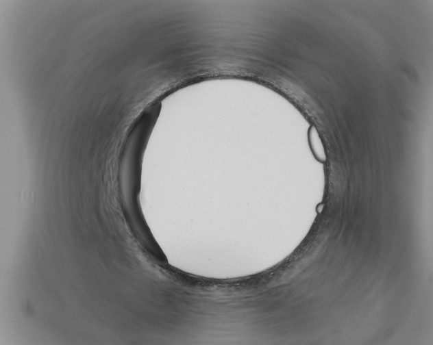 X0000112880481200910021356