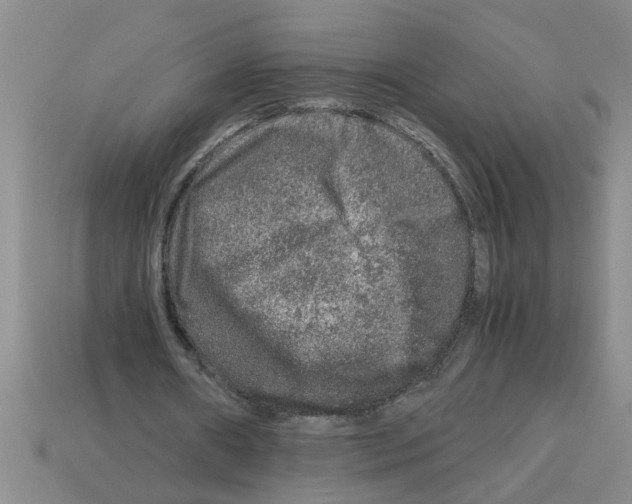 X0000112880482200910021356