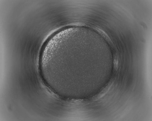 X0000112880484200910021356